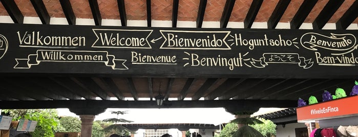 Freixenet is one of Querétaro y alrededores.