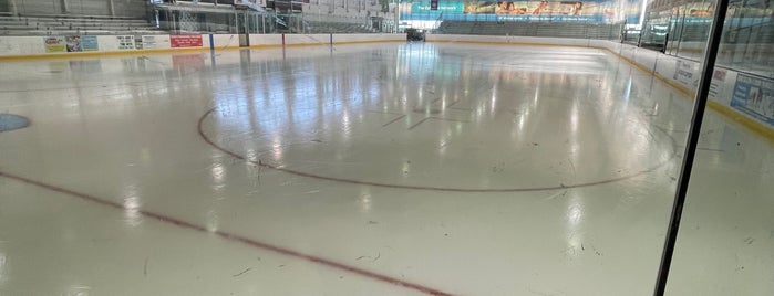 Aviator Sports & Events Center is one of Top Ice Skating Rinks in NYC.