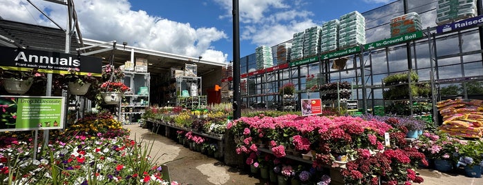 The Home Depot is one of All-time favorites in United States.