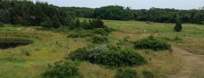 South Fork Natural History Museum is one of Spring / Summer To-Do.