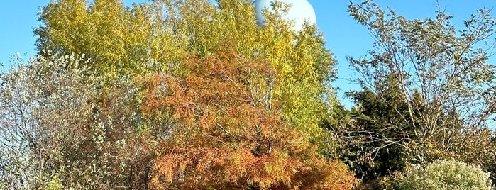 Lido Beach Passive Nature Area is one of BEST OF: Long Island.