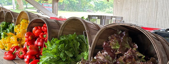 Pikes Farmstand is one of Hamptons.