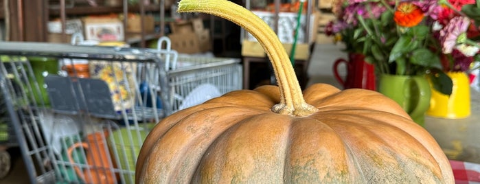 Rottkamp Farm Stand is one of Markets.