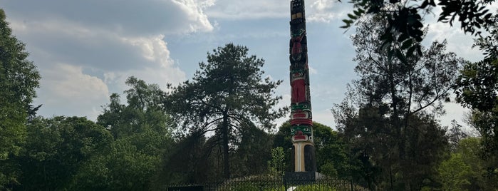 Totem Canadiense is one of Mexico City.