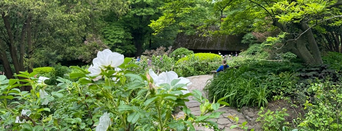 Shakespeare Garden is one of NYC TO DO.