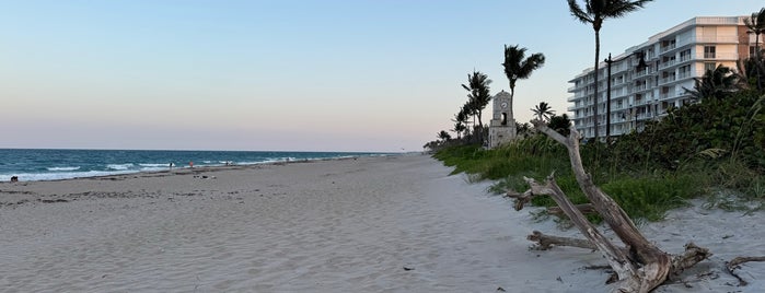 Palm Beach Municipal Beach is one of Dog Friendly.