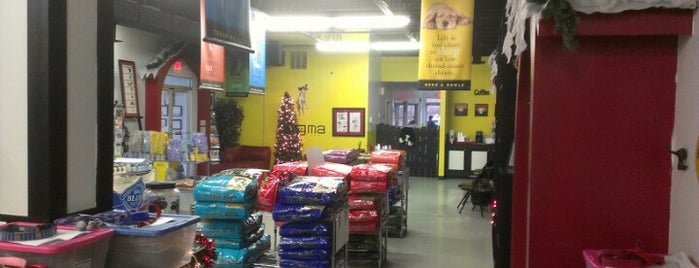 Dogma Dog Care is one of สถานที่ที่ favthingsatl ถูกใจ.