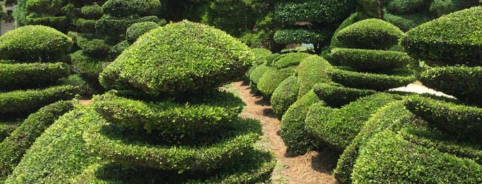 Pearl Fryar Topiary Garden is one of Favorite Family Spots.