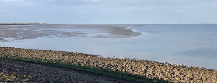 Oosterschelde is one of Zeeland.