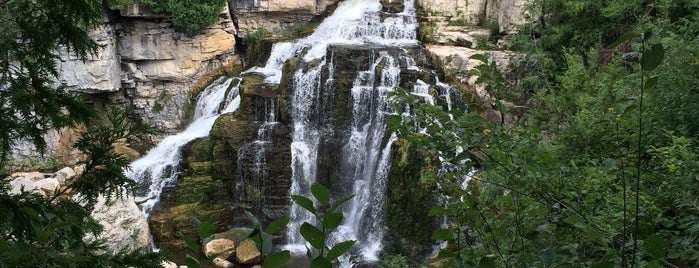 Inglis Falls is one of Tobermory.