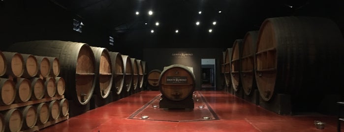 Bodega Dante Robino is one of Mendoza.