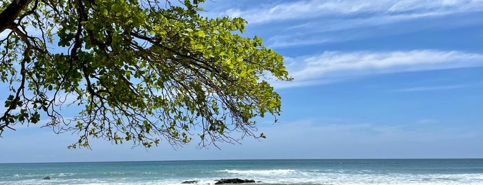 Playa Malpaís is one of สถานที่ที่บันทึกไว้ของ Jeremy.