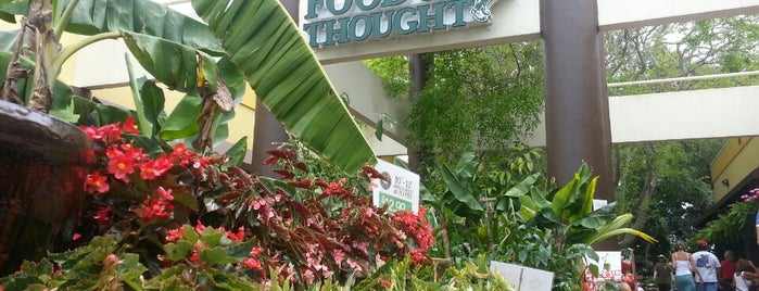 Food And Thought is one of Best Local Restaurants in Naples, Florida.