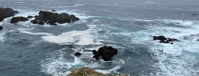 Pomo Bluffs Park is one of Mendocino.