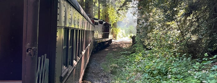 The Skunk Train is one of California Vacation 2014.