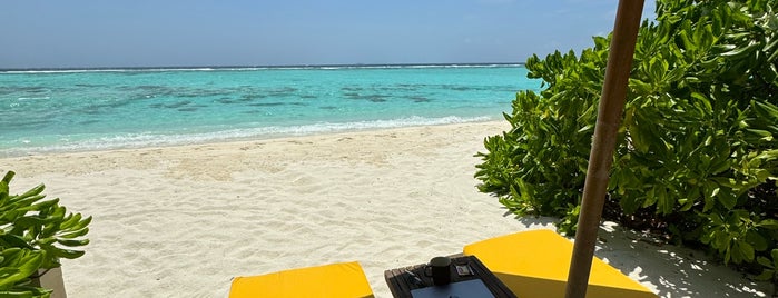 Angsana Resort & Spa Maldives Velavaru is one of Tourism.