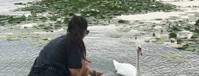 Neptun is one of Places to visit in Bucharest with Ada.