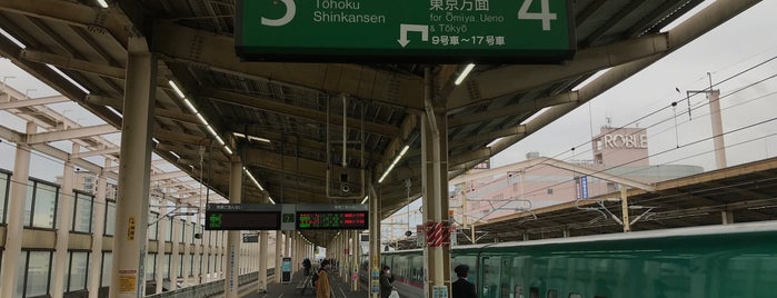 Platforms 4-5 is one of 新幹線.