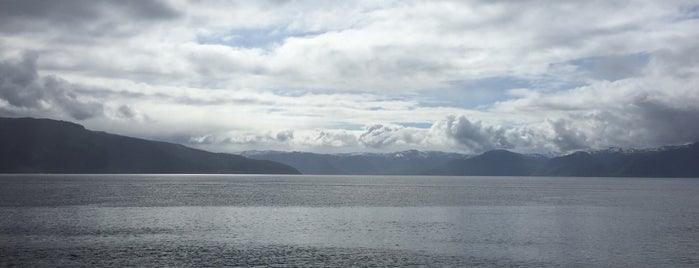 Sognefjord is one of Fjords.