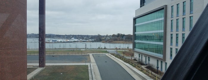 Umass Boston Science Building is one of usual haunts.