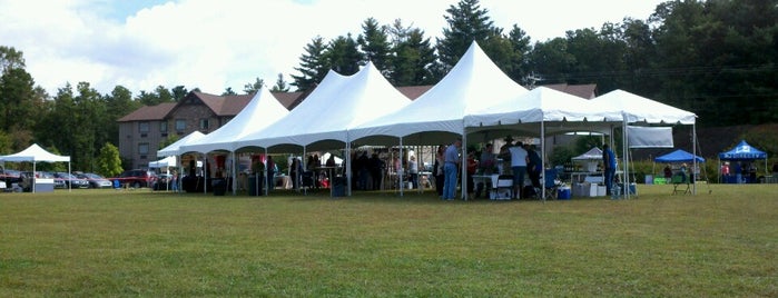 Mountain Wine and Music Festival is one of Joel : понравившиеся места.