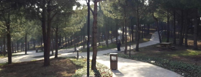 Çamlıca Parkı is one of Çocuk Etkinlikleri.