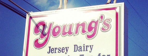 Young's Jersey Dairy is one of Ohio.