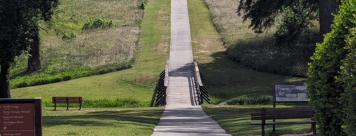 Ocmulgee National Monument is one of Georgia.