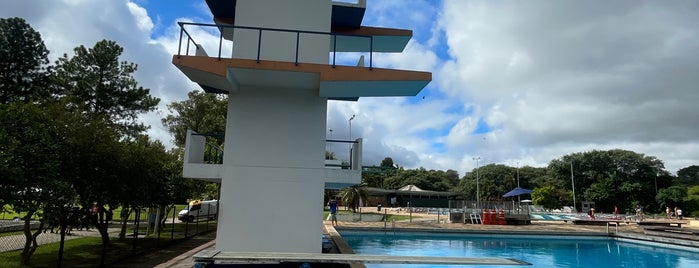 Piscina is one of USP - São Paulo.