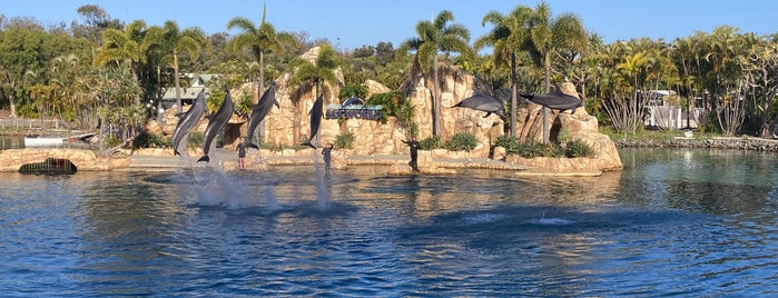 Sea World is one of Gold Coast.