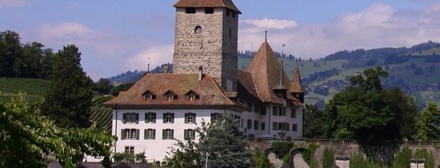 Schloss Spiez is one of Swiss Museum Pass.