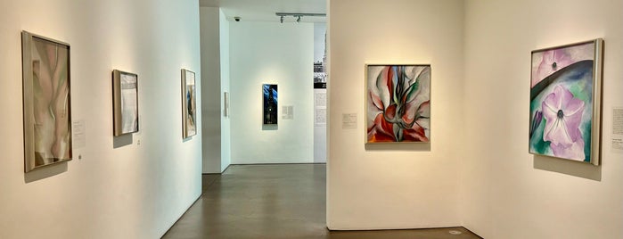 Georgia O'Keeffe Museum is one of New Mexico 🌶️.
