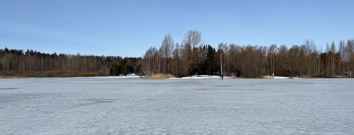 Pitkäjärvi is one of Finland.