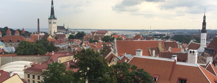 Kohtuotsa vaateplatvorm is one of Estonia To Do (August 2014).