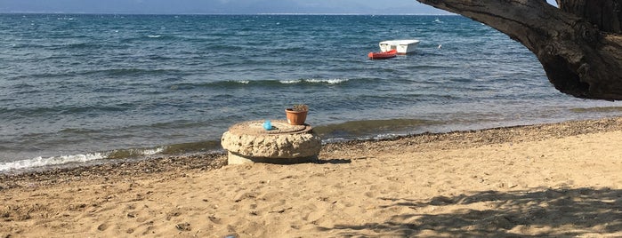 İlkyaz Beach is one of Ayvalık-Burhaniye-Gömeç-Sarımsaklı.