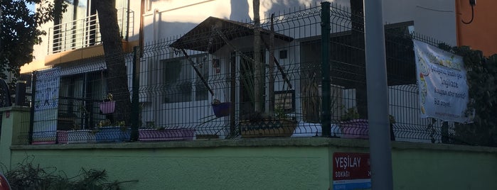 Play to Learn Preschool is one of Erkan'ın Beğendiği Mekanlar.