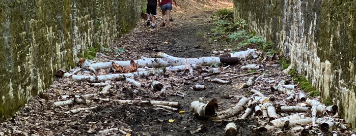 Ashokan Quarry Trail is one of Orte, die kevin gefallen.