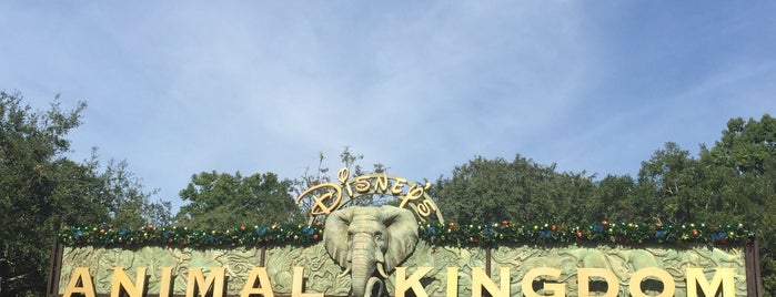 Disney's Animal Kingdom is one of Parques temáticos / aquáticos.