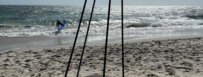 Sculptures By The Sea is one of Places to go/see.