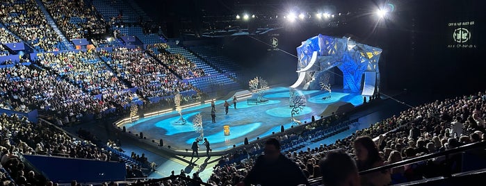 RAC Arena is one of Posti che sono piaciuti a Shane.