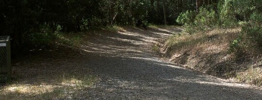 Tilden Regional Park is one of SF Bay Area (East & South).