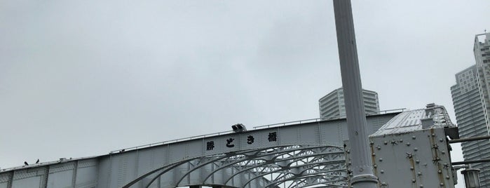 Kachidoki Bridge is one of 自転車.