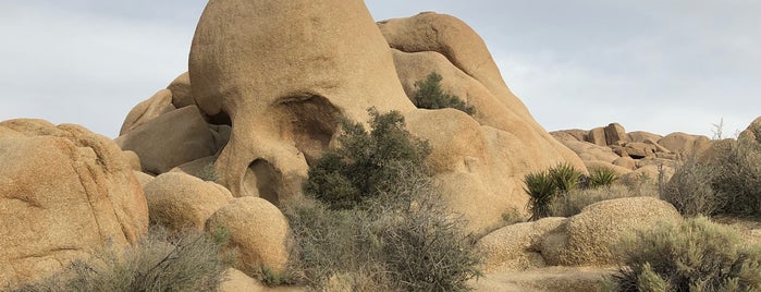 Skull Rock Trail is one of SD Sights.