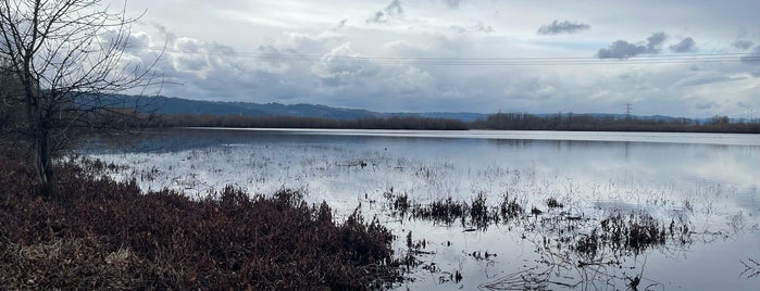 Smith & Bybee Lakes is one of Portlands parks and gardens.