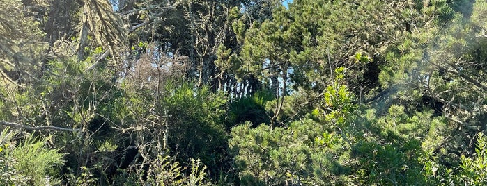 Wildlife Viewing Bunker is one of Oregon.