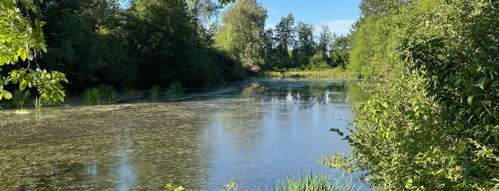 Smith and Bybee Wetlands Natural Area is one of Portland.