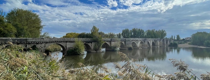 Puente Romano De Simancas is one of ya checkeados.
