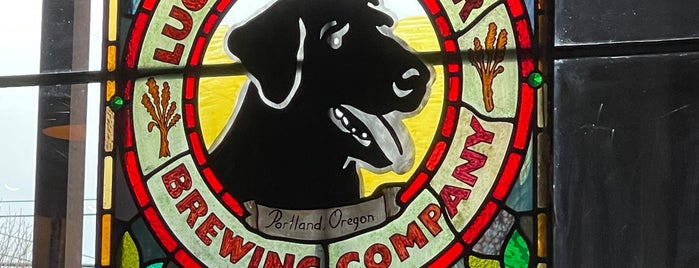 Lucky Labrador Brew Pub is one of Oregon Brewpubs.