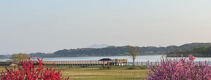 牛久沼水辺公園 is one of サイクリング.