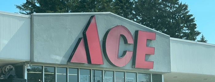 Village Ace Hardware Inc is one of Places I Frequent.